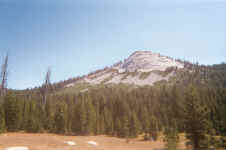 013_13.JPG (96170 bytes)