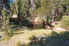 015_15.JPG (202283 bytes)