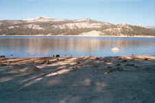 018_18.JPG (103197 bytes)