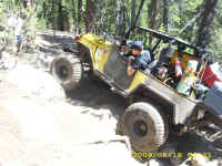 dc dusy (2).JPG (172496 bytes)