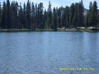 dc dusy (3).JPG (156739 bytes)