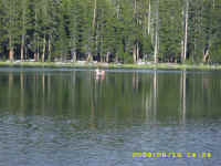 dc dusy (6).JPG (156256 bytes)