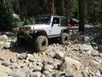 de09-dr (35).jpg (180385 bytes)