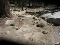 de09-dr (42).jpg (169321 bytes)