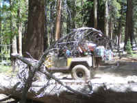 de09-pa (103).JPG (221413 bytes)