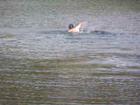 de09-pa (116).JPG (179709 bytes)