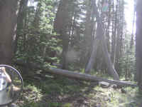 de09-pa (144).JPG (152237 bytes)