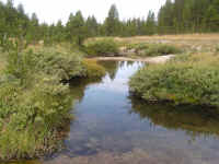 de09-pa (146).JPG (178100 bytes)