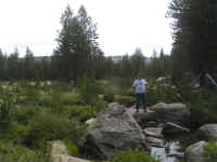 de09-pa (153).JPG (123201 bytes)