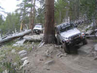 de09-pa (181).JPG (184018 bytes)