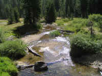 de09-pa (24).JPG (200404 bytes)