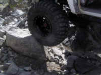 JV 0310 (17).JPG (410901 bytes)