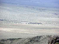 P1010005.JPG (660528 bytes)