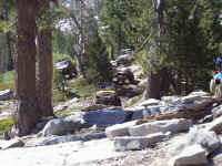100_1765.JPG (199951 bytes)