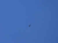 100_2095.JPG (23979 bytes)