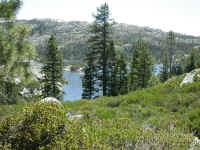 DSCN6367.JPG (238522 bytes)