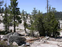 DSCN6403.JPG (195833 bytes)