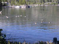 DSCN6419.JPG (166535 bytes)
