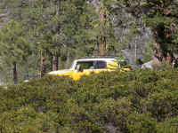 DSCN6436.JPG (261538 bytes)