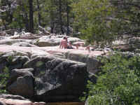 DSCN6463.JPG (197042 bytes)