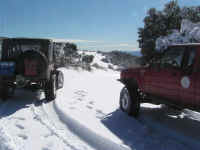 snow0110 (18).JPG (98037 bytes)