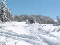 snow0110 (4).JPG (129284 bytes)
