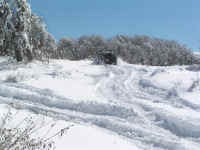 snow0110 (5).JPG (145502 bytes)