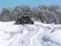 snow0110 (6).JPG (167746 bytes)