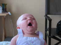 Vienna Apr 10 (24).jpg (61030 bytes)