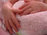 vri223 (10).JPG (168248 bytes)