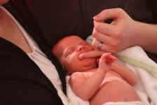 vri223 (17).JPG (210044 bytes)