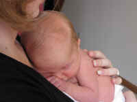 vri223 (2).JPG (142254 bytes)