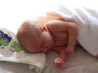 vri223 (6).JPG (171188 bytes)