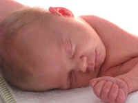 vri223 (8).JPG (173827 bytes)