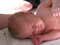 vri223 (9).JPG (168690 bytes)